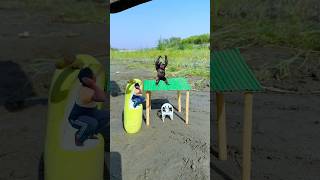 Crazy Funny Magical Videography Idea Gorilla Man