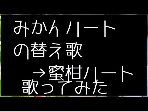 【替え歌】蜜柑ハート（みかんハート） - Ｃ＆Ｋ