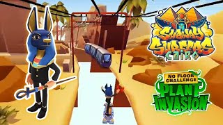 NEW PLANT INVASION IN CAIRO (1) GAMEPLAY with FESTIVE FRANK - SUBWAY SURFERS EASTER IRELAND 2024