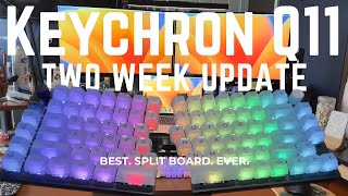 Q11 UPDATE 1