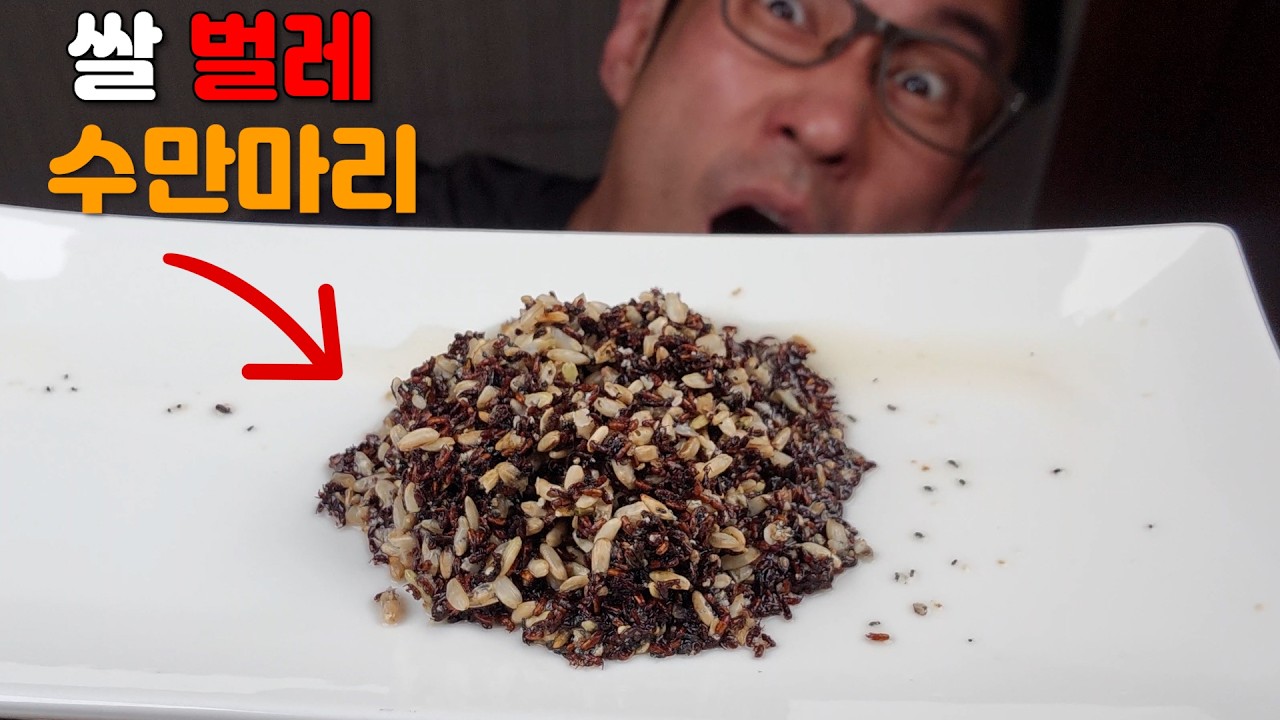 쌀벌레 수만 마리로 '밥'을 지어 먹어봤습니다... (※식감이 뭐?)