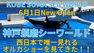 6月1日 New Open 神戸須磨シーワールド 西日本で唯一見れるオルカショーを見てきた シャチ 水族館 神戸市須磨区 KOBE SUMA SEA WORLD Aquarium