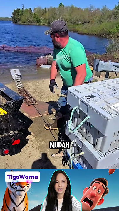 Ketika Ide Cerdas Berujung Kocak. #idegagal #fails #unexpected #moments #funny #creative #shorts