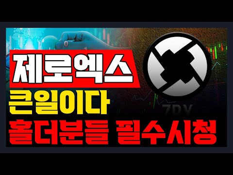   제로엑스 제로엑스코인 제로엑스전망 큰일이다 홀더 분들 필수 시청 2024년 목표가 공개 및 분석 내용 공유