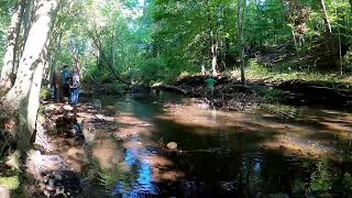 Streambank Stabilization at Gurleyville Grist Mill
