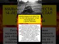 МАЛЬЧИК ИЗ БРЕСТА СТАЛ ЛЕГЕНДОЙ ВОВ #вов#история#ссср