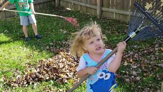 Raking Leaves On A Windy Day!! 🤣😂🤣😂