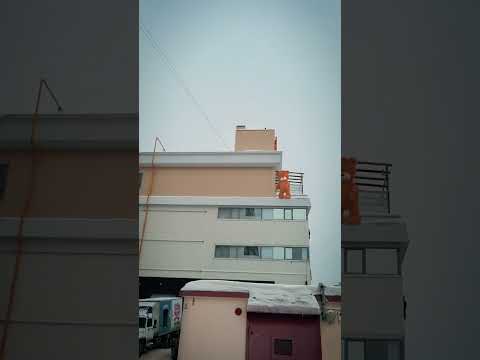 Мишка Тедди