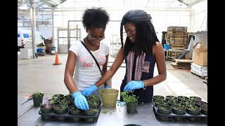 How to apply for Learn & Earn in Pittsburgh/Allegheny County