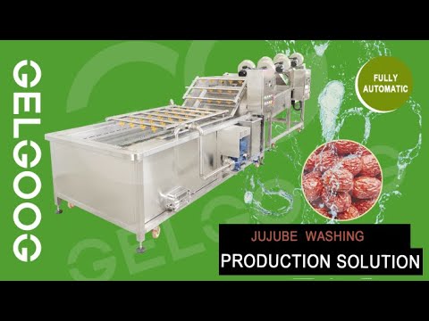 Jujube Washing And Air Drying Production Line - YouTube