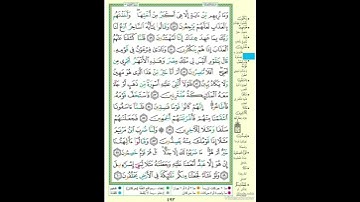 الصفحة ٤٩٣ من القرآن الكريم...القارئ د.بريك سعد بريك