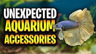 Household Items Every Aquarium Owner Should Be Using In Their Fish Room
