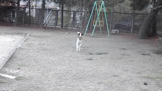 DSCN1693