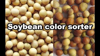 Bean color sorter - Soybean color sorter