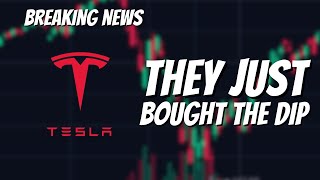 *THEY* are Buying the DIP in Tesla Stock.. (Breaking News)