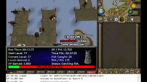 Guildfisher - Www.Rarebot.com - Free Scripts!