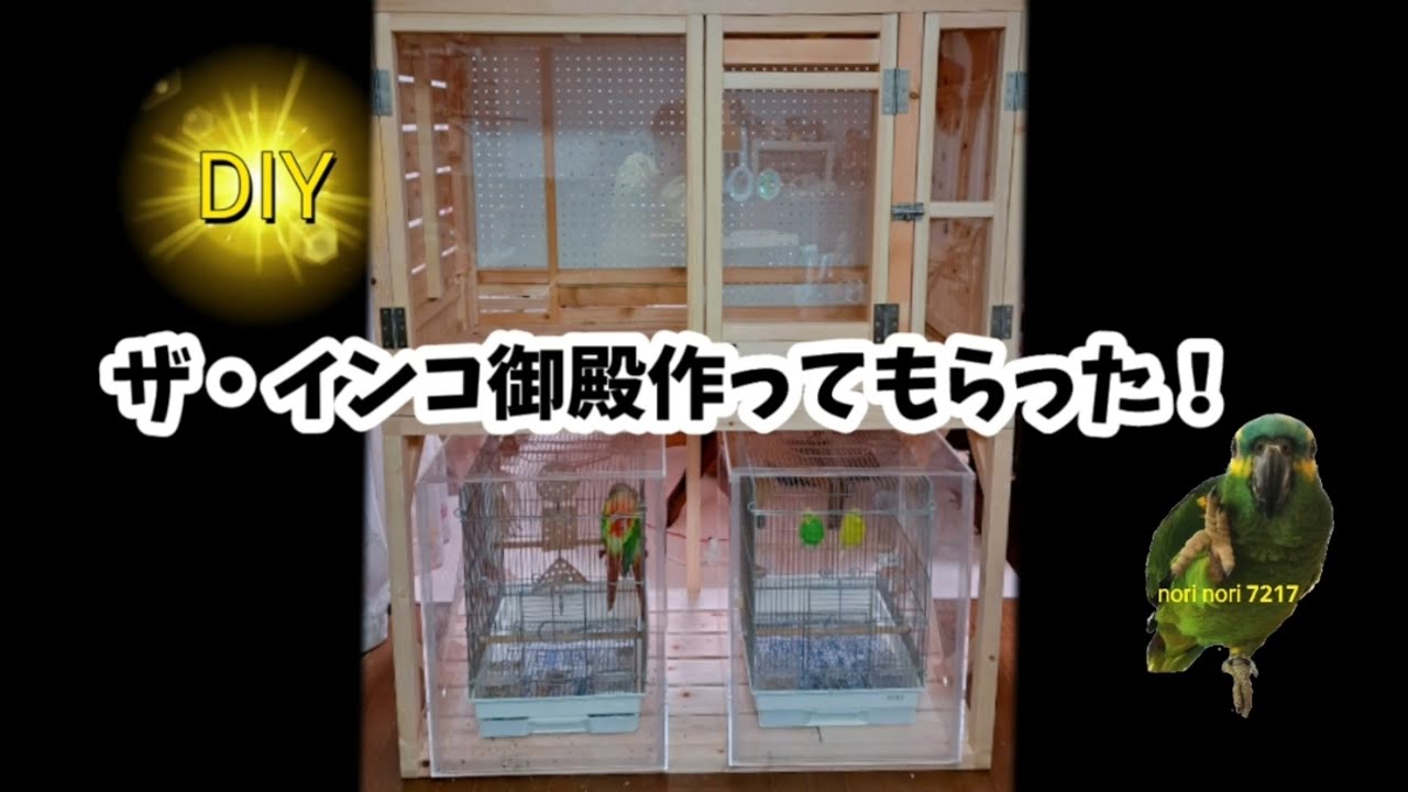 DIY インコ棚を作ってもらった！ - YouTube