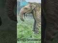 Bunyip Vs Deinotherium | Ark survival ascended | ark mods | Ark battles | gameplay #arkmodding