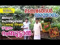 റംബൂട്ടാൻ കൃഷിയിൽ വിജയിച്ച ഷാജി well experienced farmer farm in his house