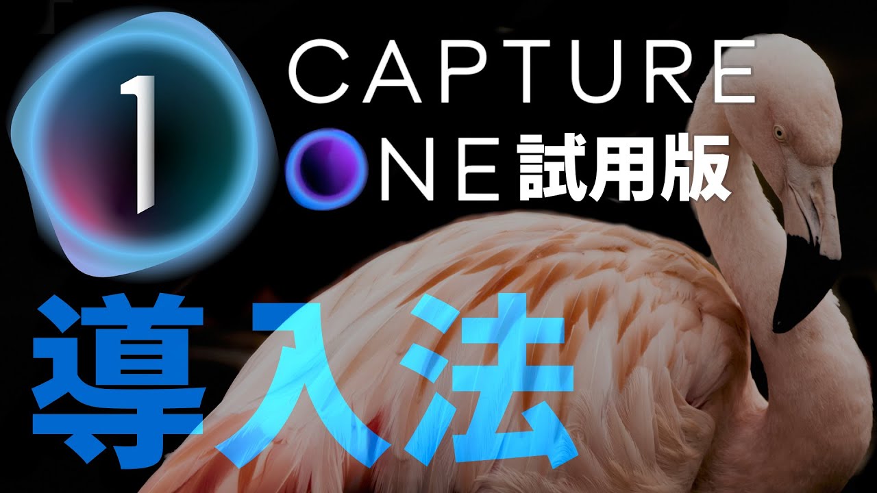 Capture One】徹底解説①導入編！無料で試せるプロ向けRAW現像ソフト