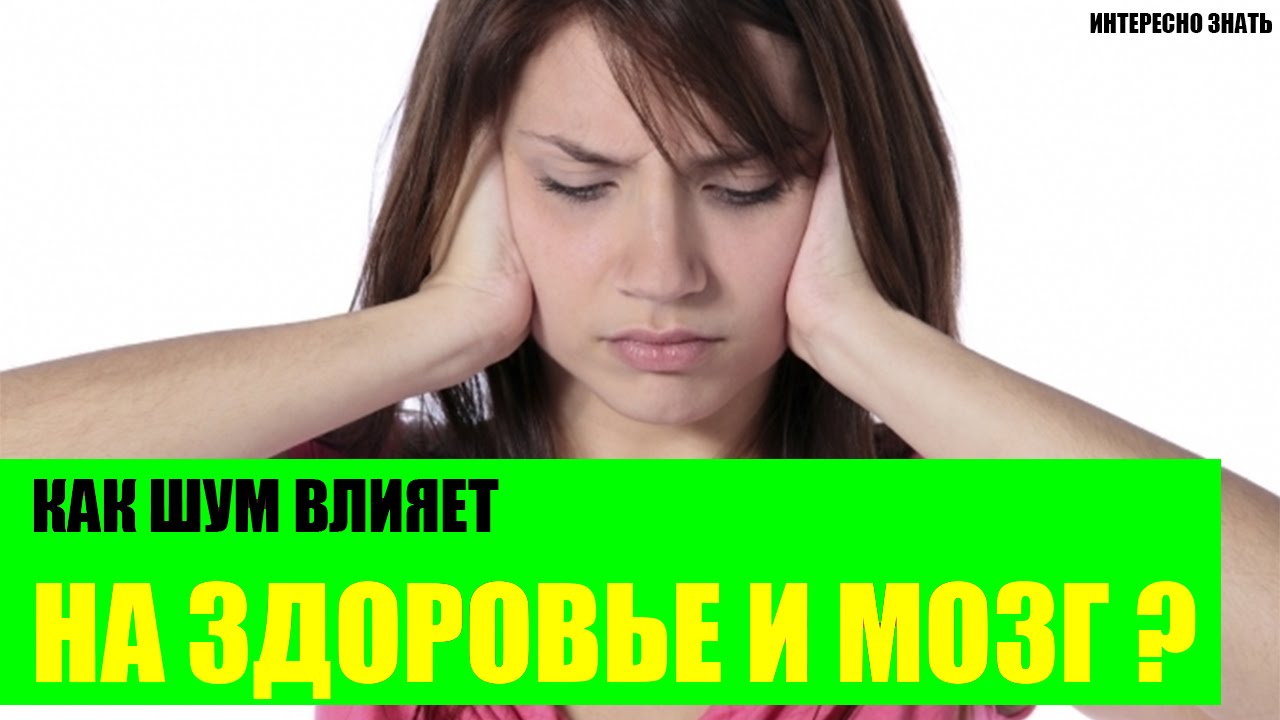 Как шум влияет на здоровье и мозг?