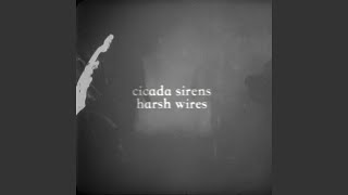 The Night Wire - Cicada Sirens