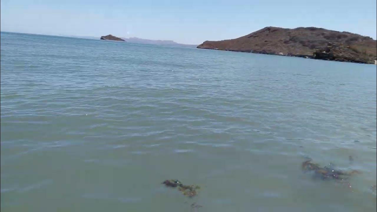 Playa el Juncalito Baja California Sur,Mexico. YouTube