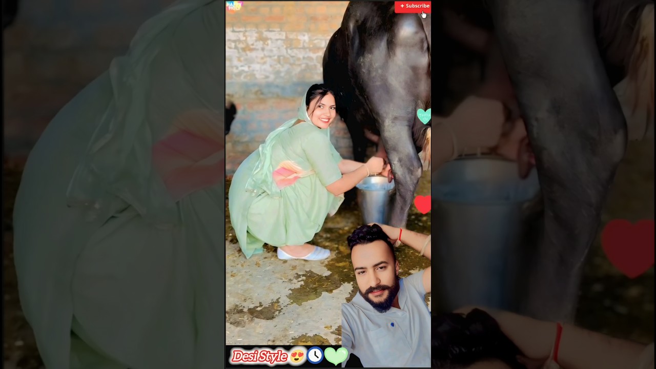 Patiyalla Brand Suit ❤️😍 (Punjabi Suit Status) 