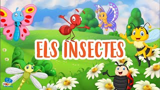 Els insectes | Vídeos educatius per a nens en llengua catalana