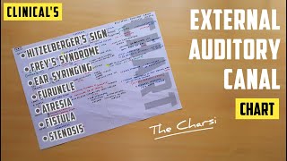 External Ear - 4, External Auditory Canal and Its Clinicals | TCML