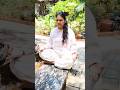 office workers ke liye stress relief meditation मन को शांति देगा ये दिव्यस्थान#peace#blissful#office