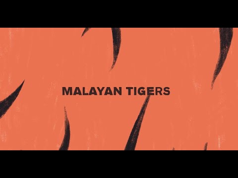 A Future for Malayan Tigers - YouTube