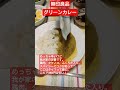 無印良品。グリーンカレー。めっちゃ辛いけどやみつき。