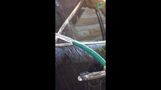 Washing Your Car At Home Think Again