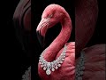 Animals x Jewelry