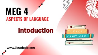 MEG 4 Malayalam Classes| Notes