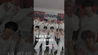 포하 향해 직진! 아홉(AHOF)이 돌아왔다!