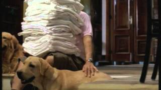 Film Rin Art Director Sadek