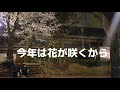 今年の就活活動されてる方、社会人、大学生等皆頑張ってください。