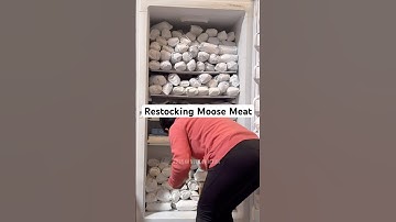 Restocking moose meat #moose #alaska #meat