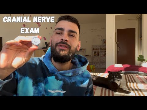 ASMR - Cranial Nerve Exam 🧠