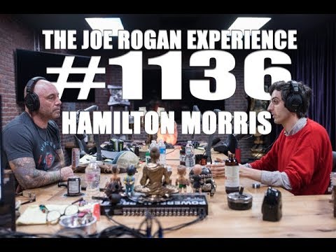 Joe Rogan Experience #1136 - Hamilton Morris