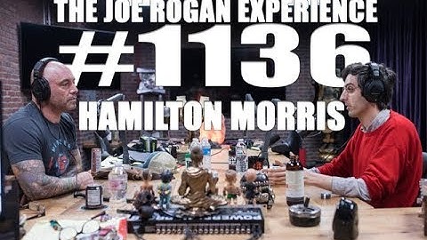 Joe Rogan Experience #1136 - Hamilton Morris