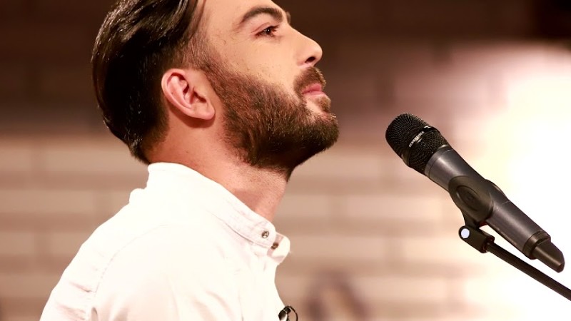 ჟღალი მიმინო