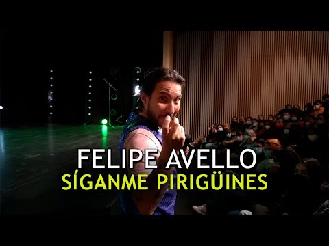 ¡Síganme Pirigüines! - en Vivo Teatro Mori Recoleta