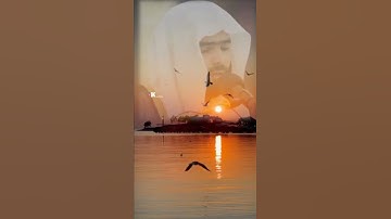القارئ پيشه وا قادر الكردي حالات واتس اب🍁 مونتاج خلفيات