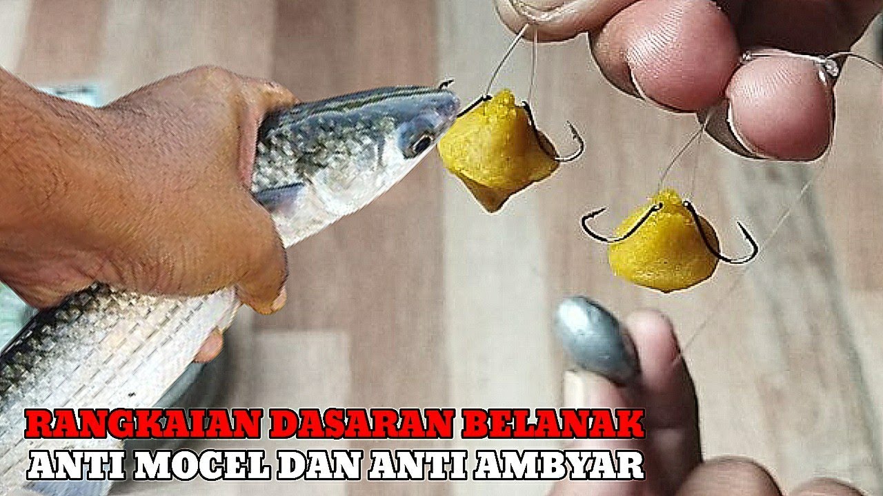 BASIC MULL FISHING OUTLET‼️ANTI-STUCK