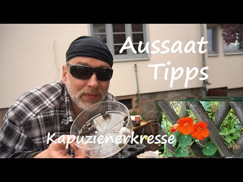 Kapuzinerkresse Ansaat pikieren, düngen Standort, Pflege Tipps! Kresse Pflanzen vorziehen u. anbauen