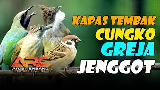 KAPAS TEMBAK - CUNGKOK - GREJA TARUNG - JENGGOT | MASTERAN GACOR SUPER MEWAH