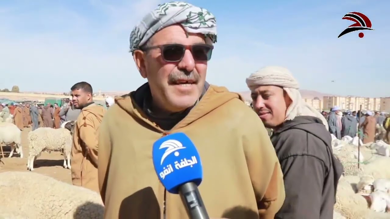 إعادة فتح أسواق المواشي بولاية الجلفة عشية شهر رمضان  - العينة من سوق حاسي بحبح